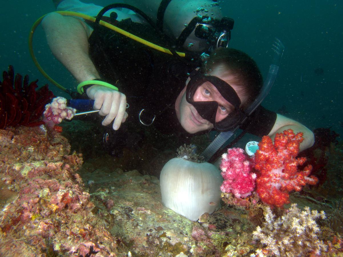The Barat Tioman Beach Resort Kampong Juara Exteriör bild